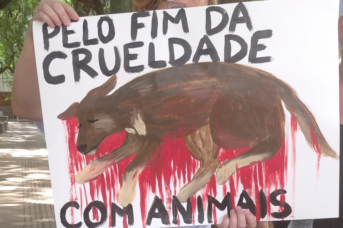 bicho e a cidade 2 bicho e a cidade 2