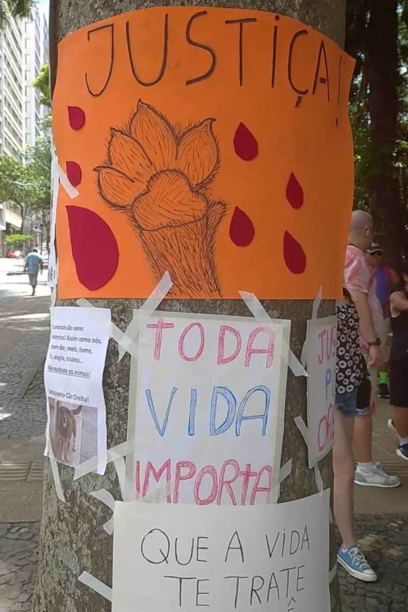 bicho e a cidade 3 bicho e a cidade 3