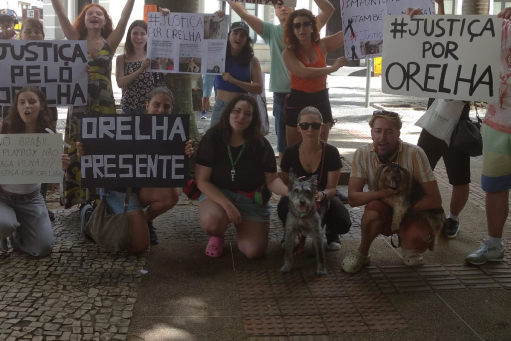 Juiz de Fora melhor para os animais