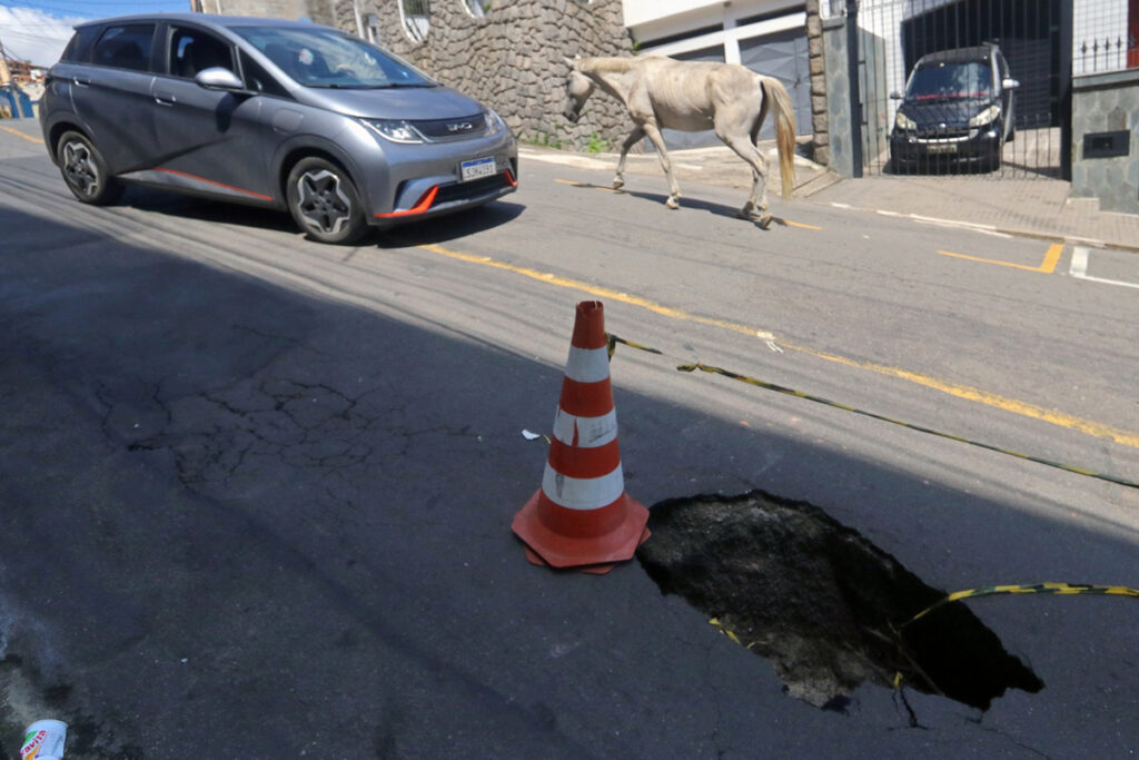 buraco-cavalo-democrata-felipe-couri buraco-cavalo-democrata-felipe-couri