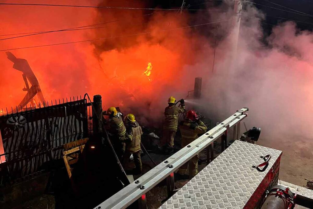 VÍDEO: Veja momento em que bombeiro resgata cadela de incêndio no Sul de Minas 1 Veja momento em que bombeiro resgata cadela de incêndio no Sul de Minas