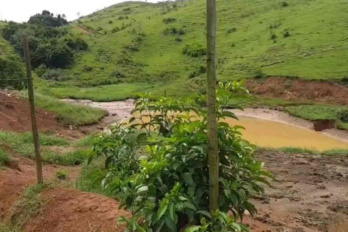 Cinco pessoas morrem soterradas após fortes chuvas na região 2 eugenopolis chuvas bombeiros