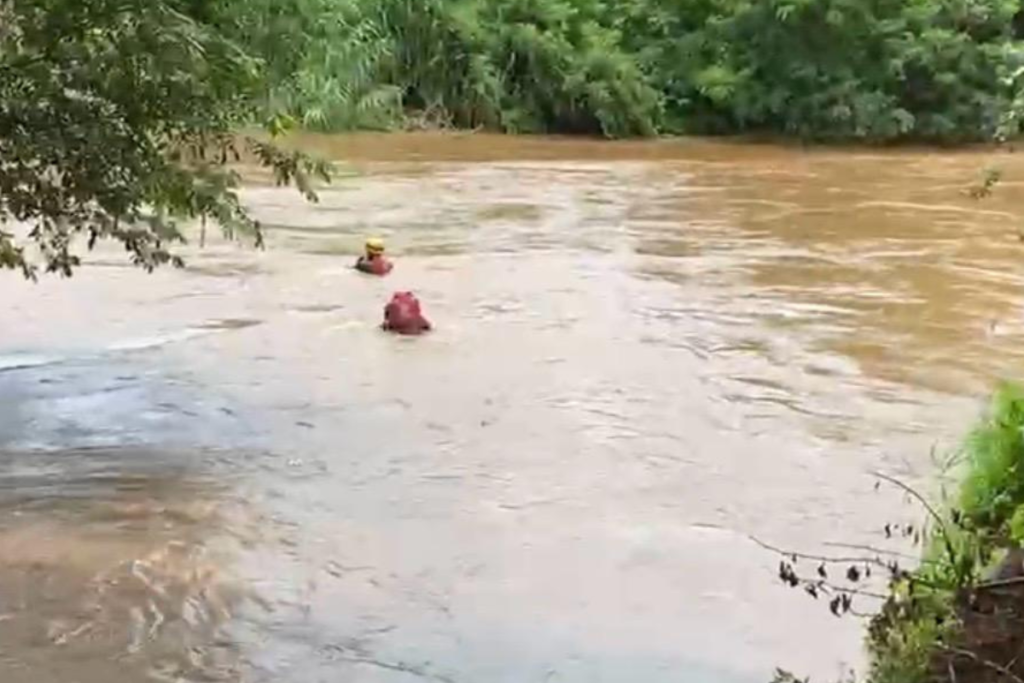 VÍDEO: Mulher se agarra à árvore e sobrevive após ser arrastada por correnteza no Sul de Minas