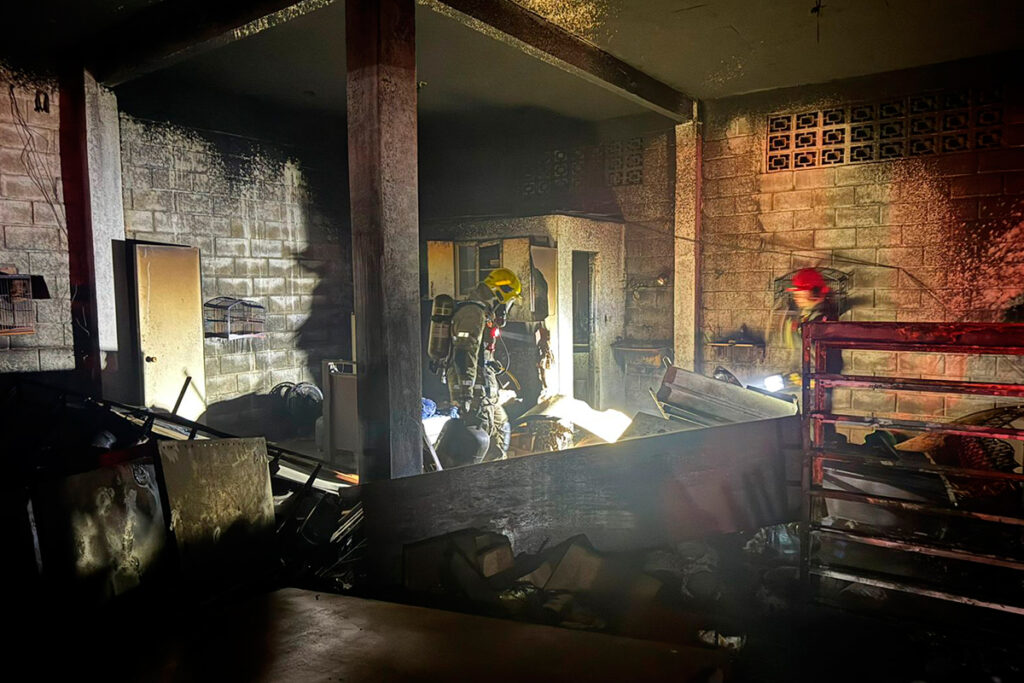 Incêndio atinge casa de ração no Distrito de Dias Tavares, em Juiz de Fora 1 incendio casa de racao