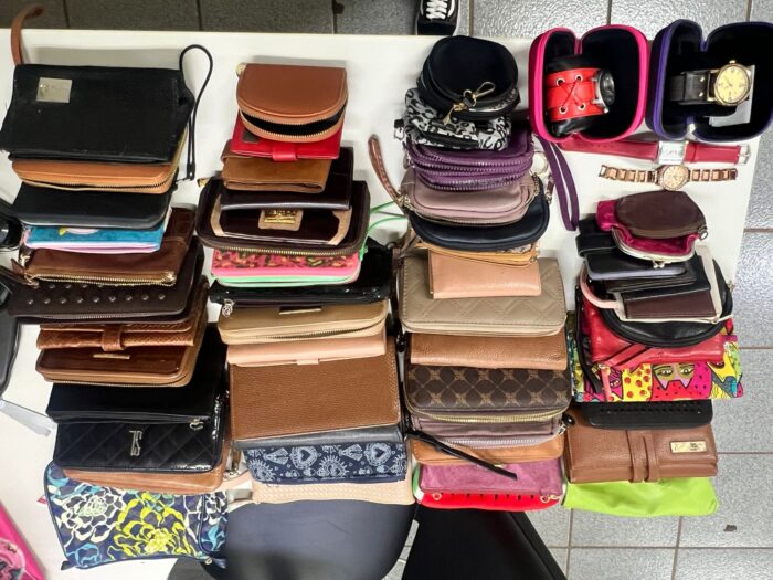 Operação Pickpockets Family: Polícia Civil apreende 53 carteiras e bolsas de pequeno porte 1 0f27ac52 af96 41ca a1bf fce4fe4bf28d