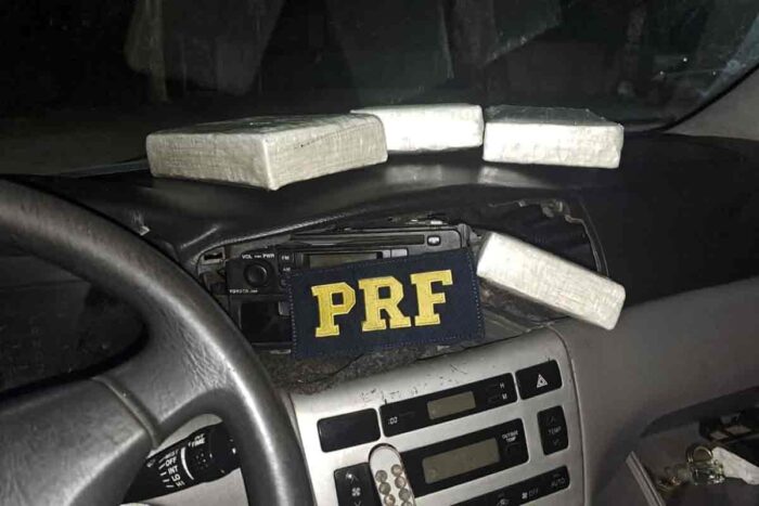 PRF identificou dogras no painel do carro