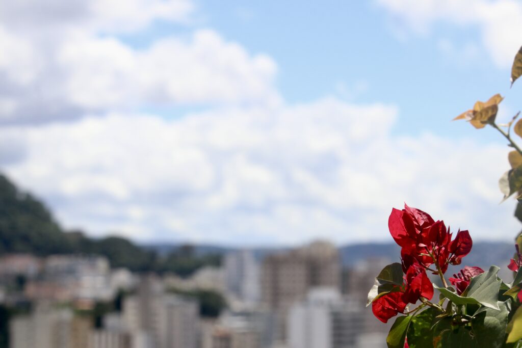 chuva