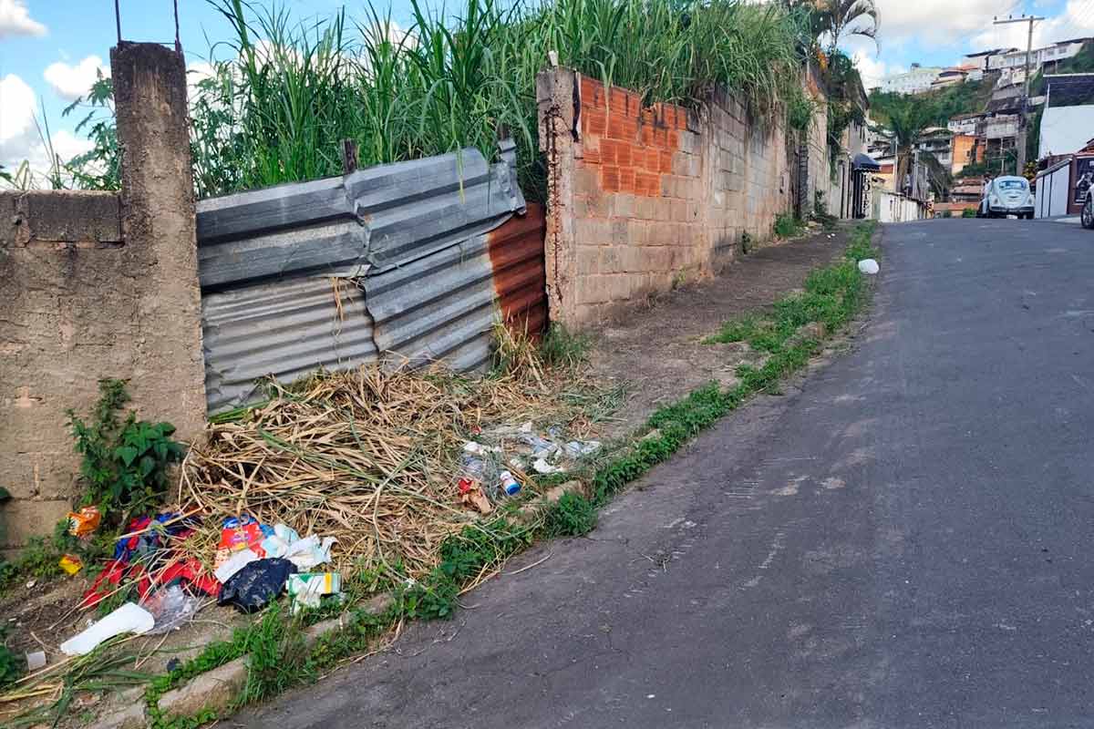 VU Tribuna de Minas 1