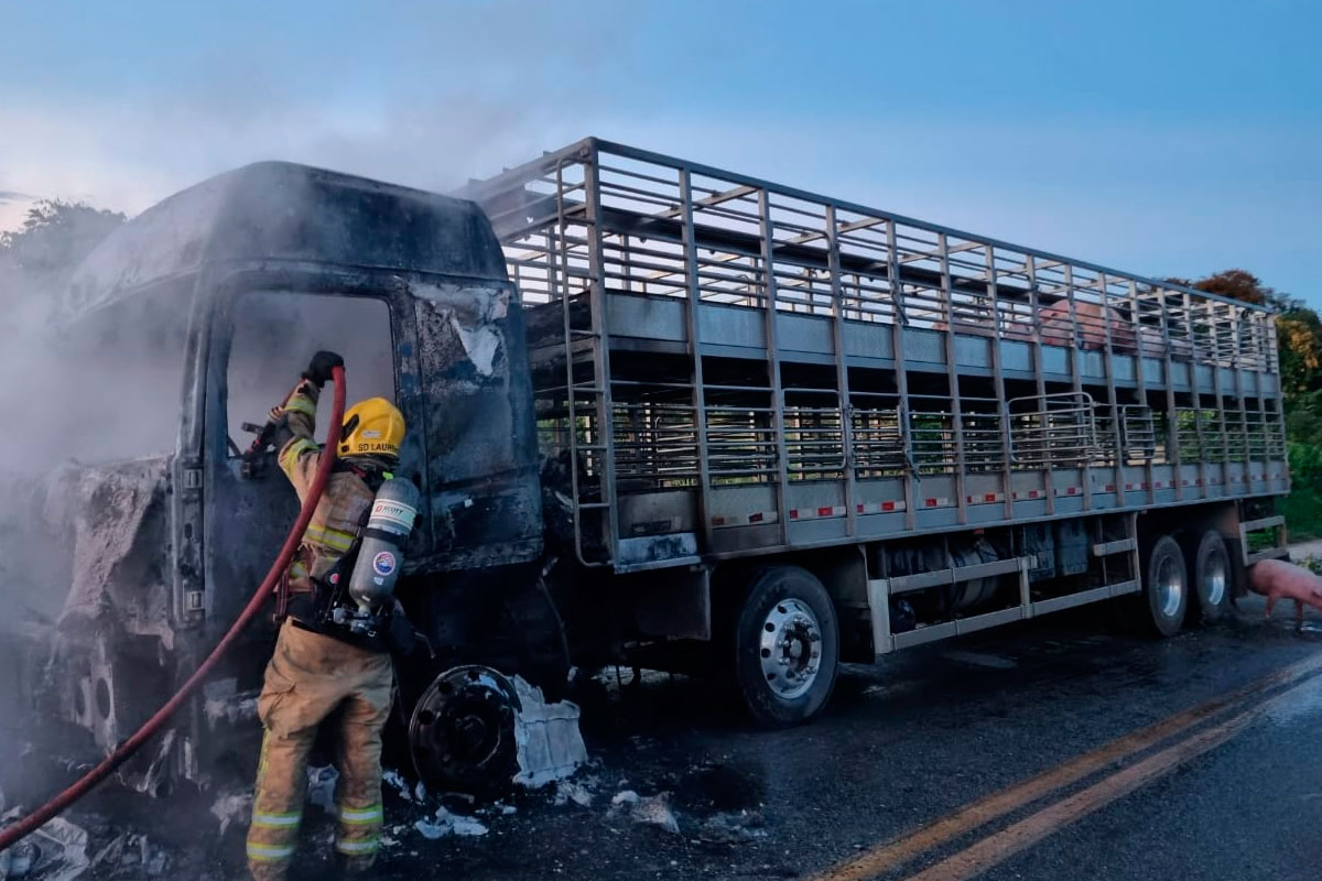 caminhao-porcos-fogo-foto-bombeiros.jpg2