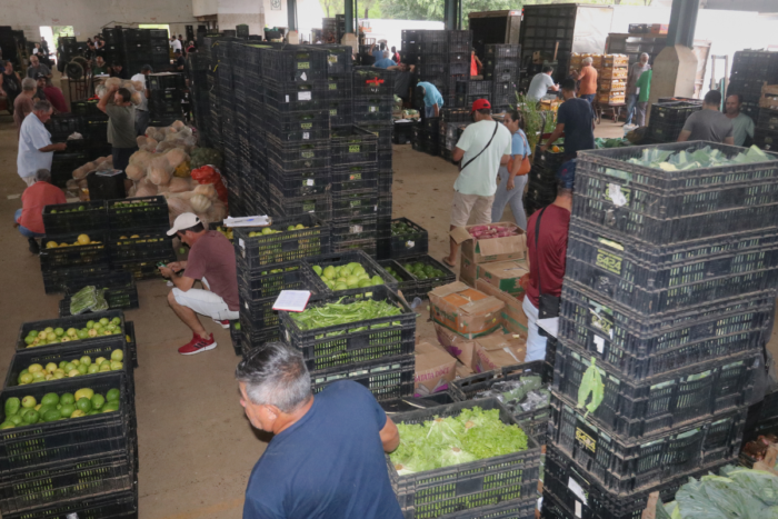 Chuvas prejudicam cultivo e afetam mais de cem produtores rurais em Juiz de Fora 2 ceasa felipe couri 1