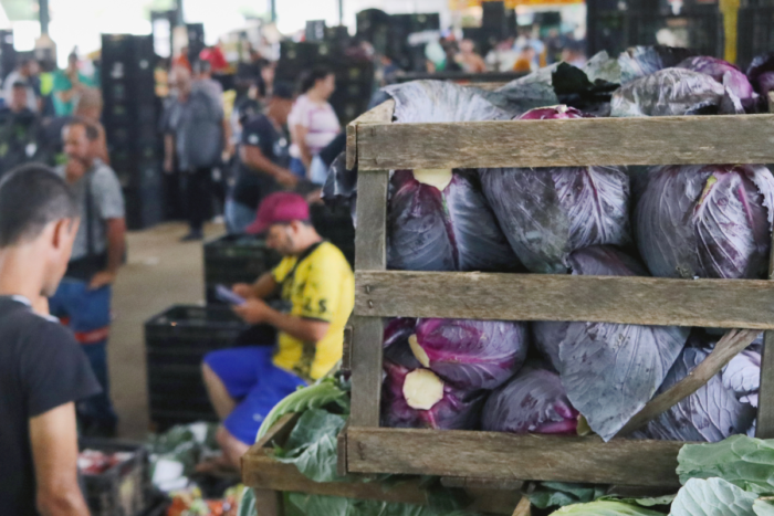 Chuvas prejudicam cultivo e afetam mais de cem produtores rurais em Juiz de Fora 3 ceasa felipe couri 3