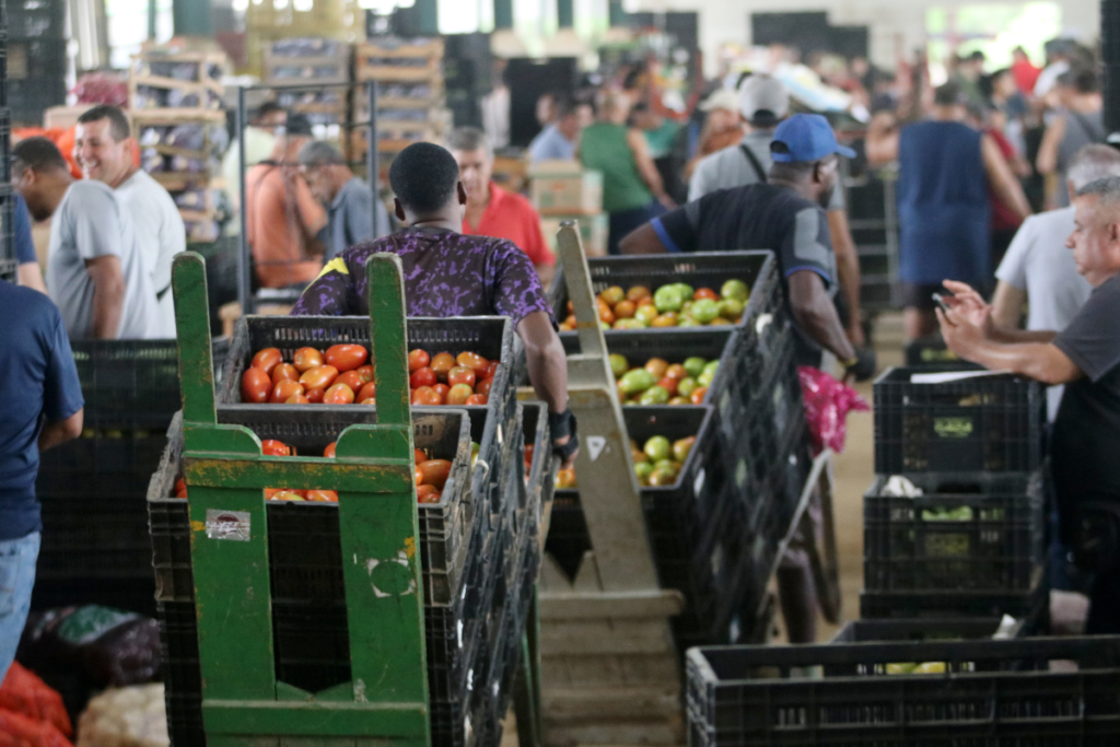 Chuvas prejudicam cultivo e afetam mais de cem produtores rurais em Juiz de Fora 4 ceasa felipe couri 5