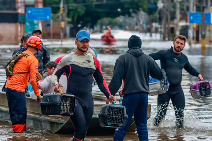 Lula sanciona lei que cria política de proteção a animais em desastres 1 lei protecao animais foto RAFA NEDDERMEYER AGENCIA BRASIL