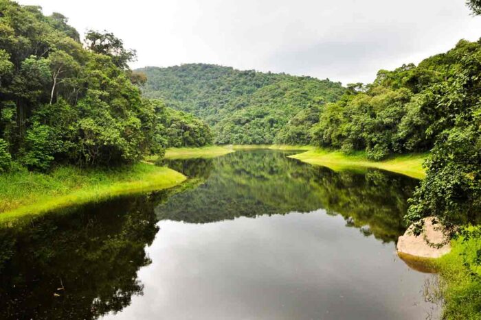 Prefeitura de Juiz de Fora avalia transformar áreas interditadas pela chuva em reservas ambientais 1 reservas ambientais