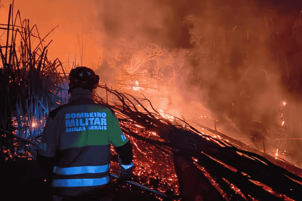 VÍDEO: Incêndio atinge 4 mil metros quadrados de mata aos fundos do Seminário Santo Antônio 1 incendio mata seminário