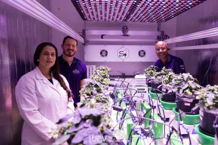 Da Zona da Mata à Lua: pesquisadores estudam como produzir alimentos no espaço 1 Lua