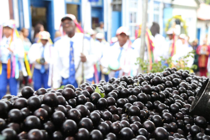 FESTIVAL DA JABUTICABA DIVULGACAO PREFEITURA DE SABARA