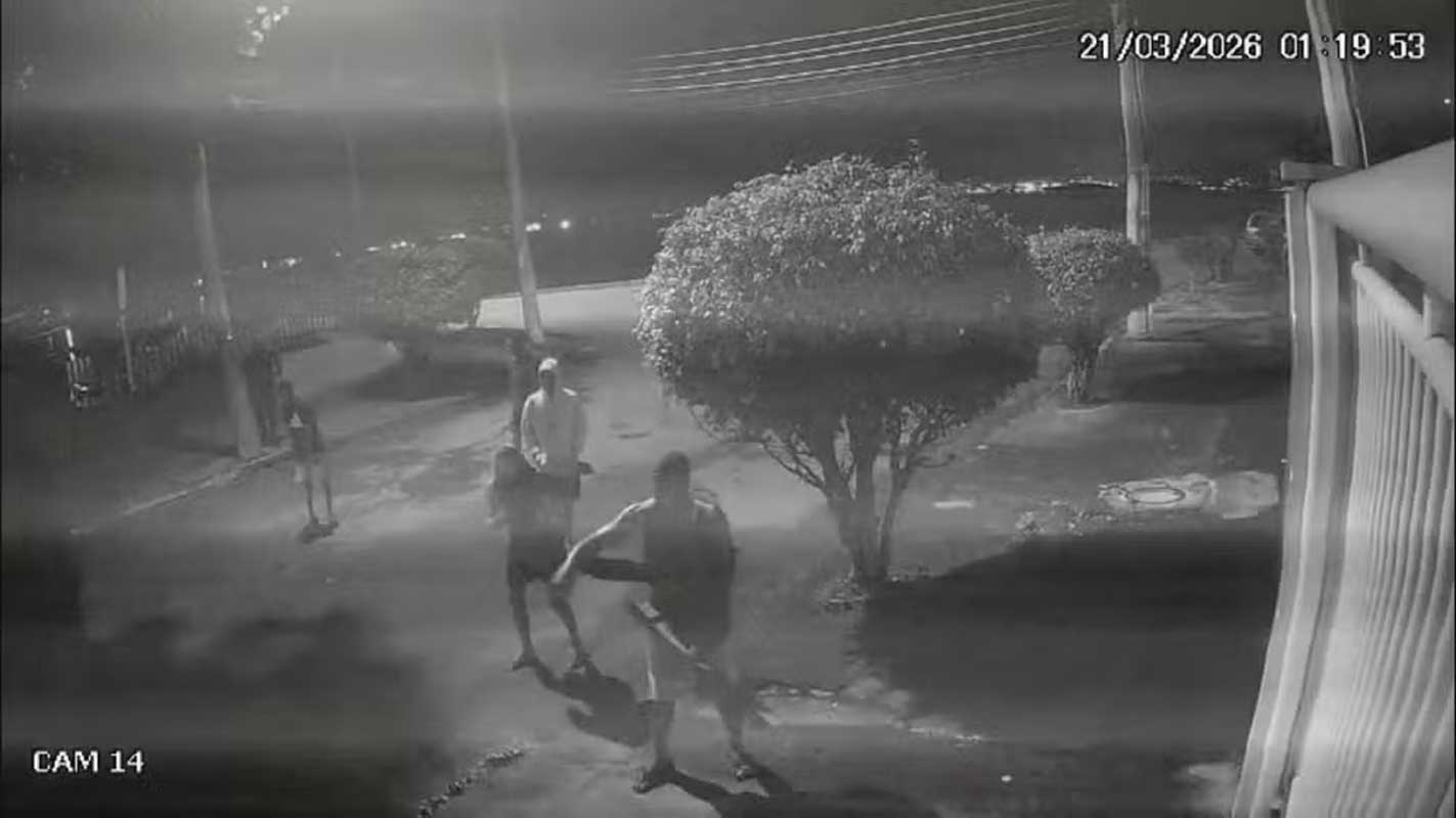 Seis homens são denunciados por crimes ambientais e maus-tratos após agressão a capivara no Rio 1 Seis homens são denunciados por crimes ambientais e maus-tratos após agressão a capivara no Rio