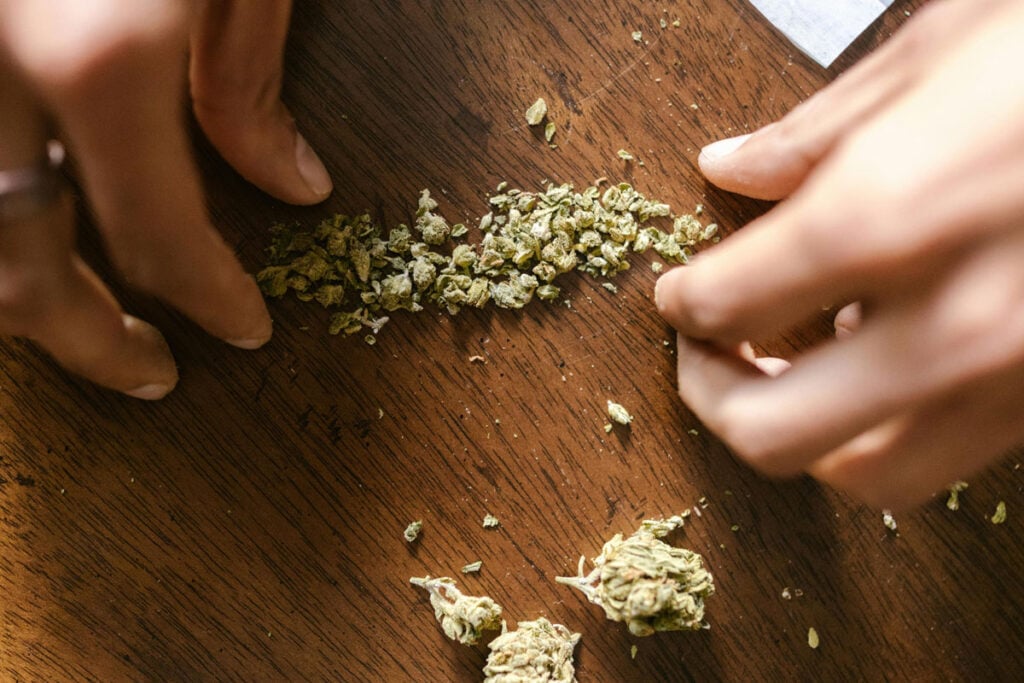 Maconha na adolescência eleva risco de transtornos mentais, aponta estudo 1 maconha adolescente foto pexels