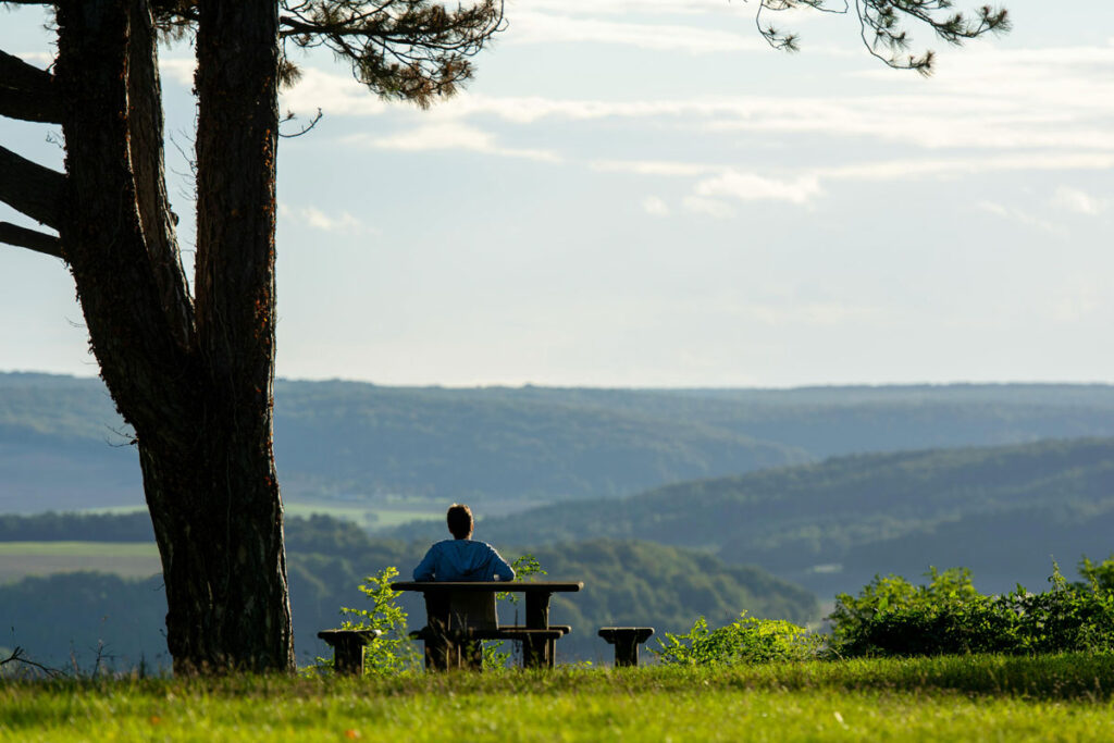 Passar um tempo sozinho pode ajudar a saúde mental? 1 solitude pexels