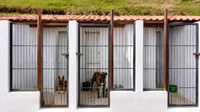 Baias novas Canil Municipal JF