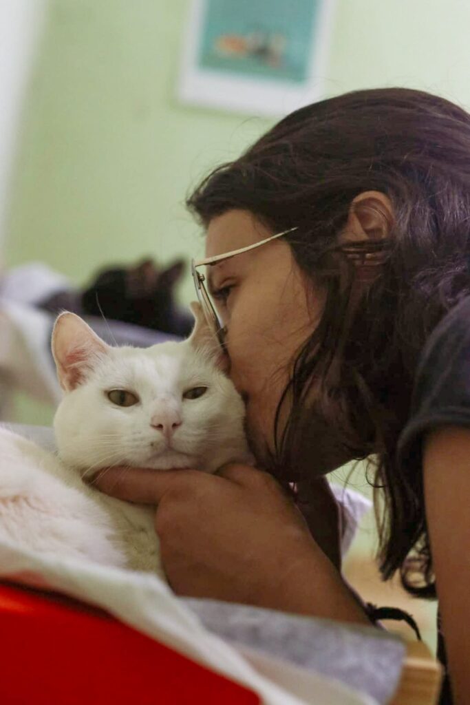 Casa dos Gatos 3