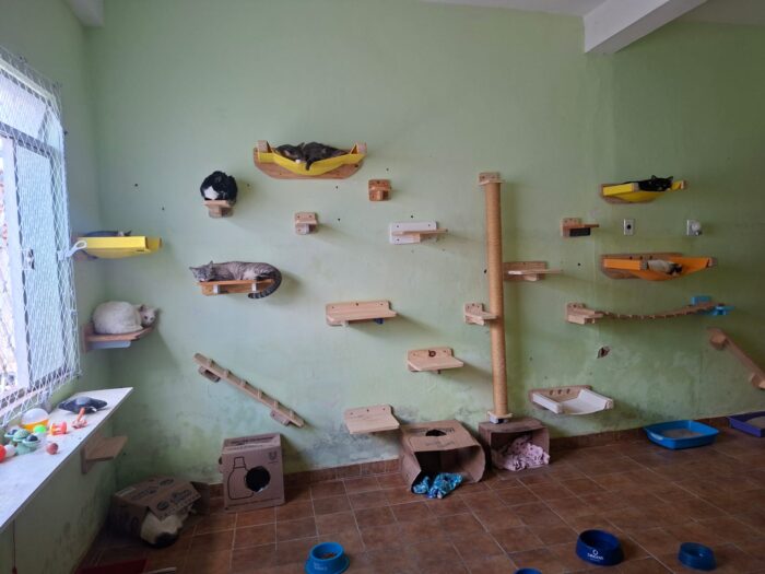 Casa dos Gatos