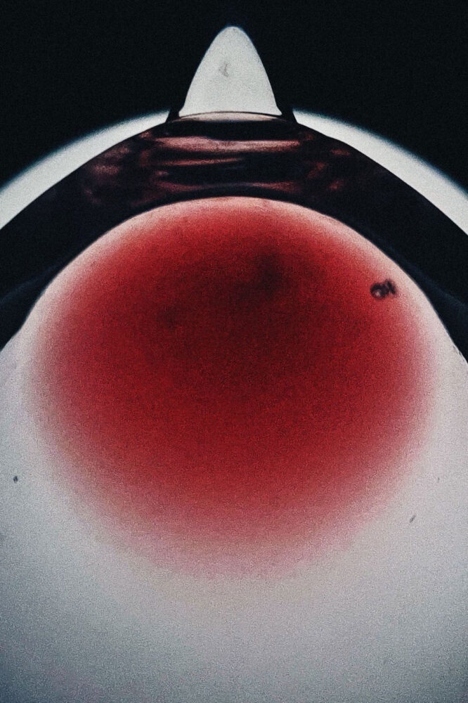 exposição theo almeida