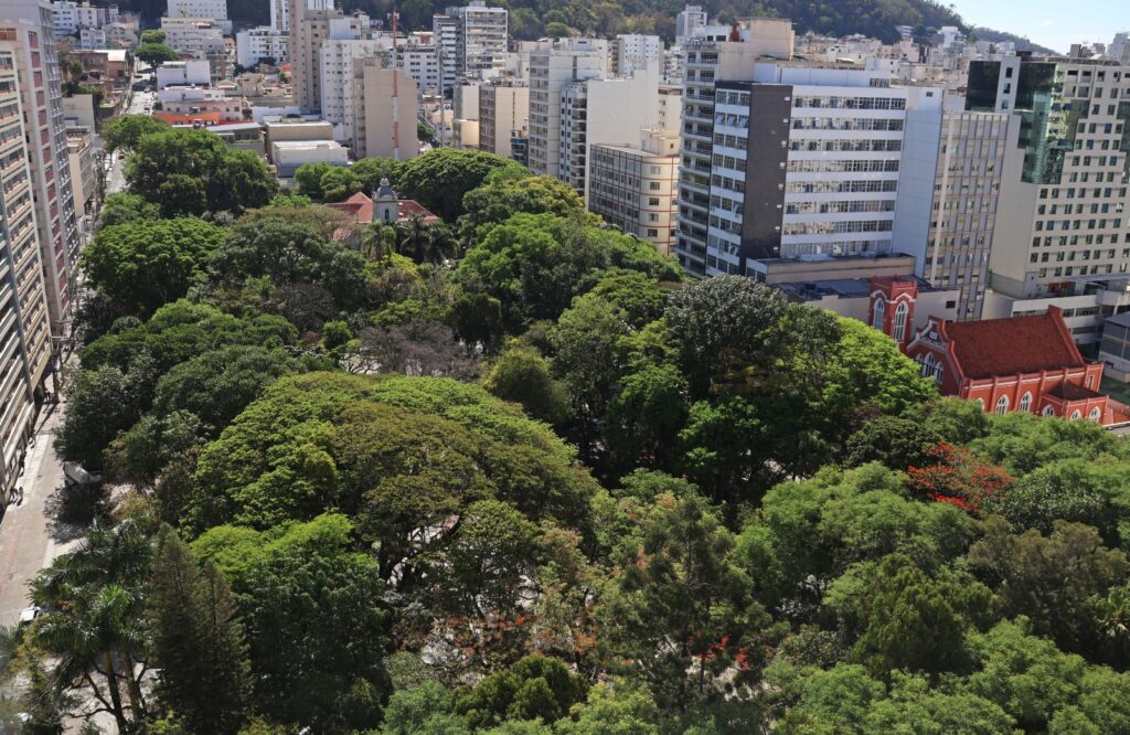AO VIVO NA ANTENA 1 Juiz de Fora: notícias da região, saúde e qualidade de vida no futuro, regras para o ano eleitoral, visão infantil, e mais no Tribuna no Ar, ao vivo 1 WhatsApp Image 2026 05 25 at 14.33.08
