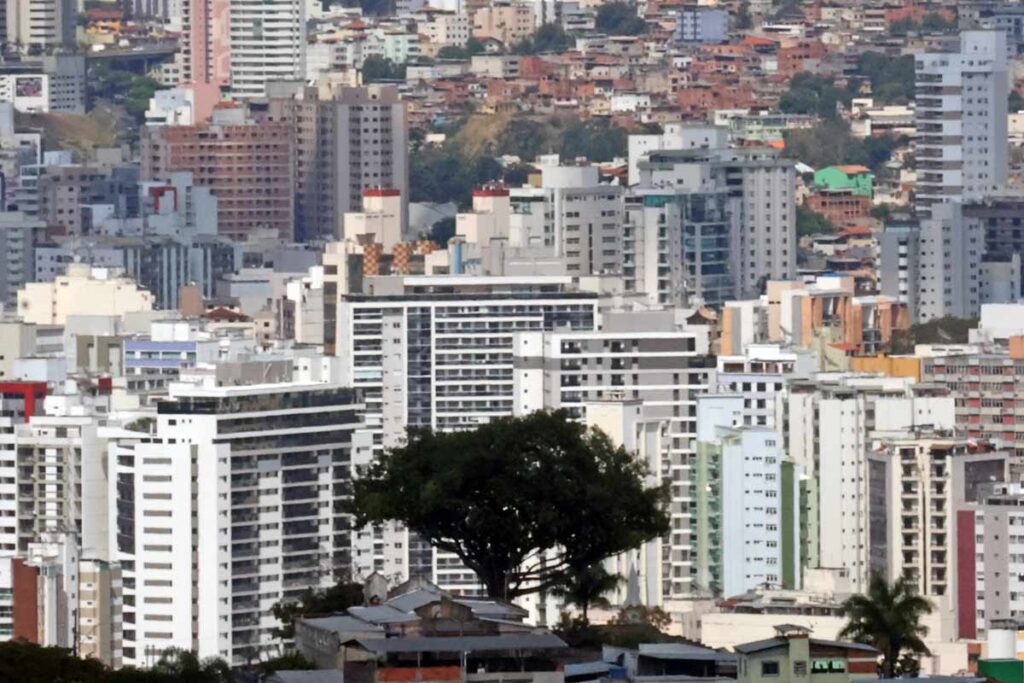 Escassez de áreas verdes amplia desigualdade climática em Juiz de Fora 4 áreas verdes