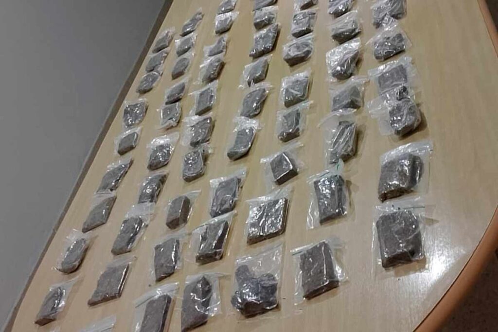 maconha