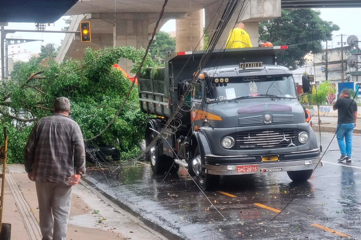 queda-de-ávore-juiz-de-fora-chuva-forte queda-de-ávore-juiz-de-fora-chuva-forte