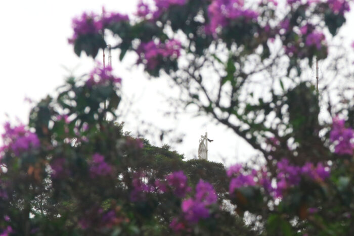 Frio aumenta ao longo da semana em Juiz de Fora e mínima pode chegar a 12 graus; veja a previsão 1 Juiz de Fora