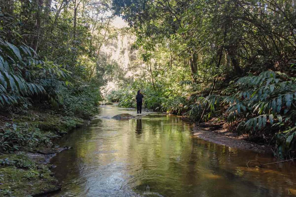 Livro resgata histórias e paisagens do berço do Rio Paraibuna em Antônio Carlos 3 Livro resgata histórias e paisagens do berço do Rio Paraibuna em Antônio Carlos