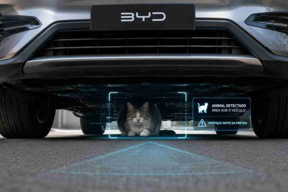 BYD cria sistema para detectar animais embaixo do carro e crianças esquecidas na cabine 1 BYD cria sistema para detectar animais embaixo do carro e crianças esquecidas na cabine