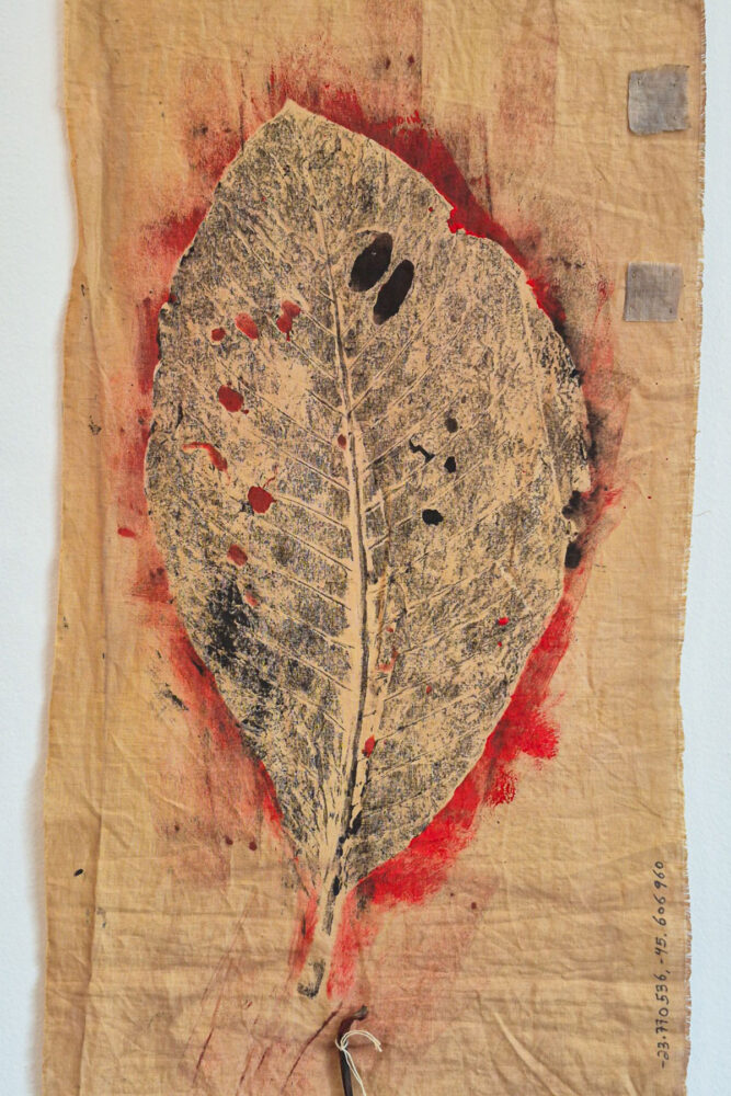 gisele ortega exposição