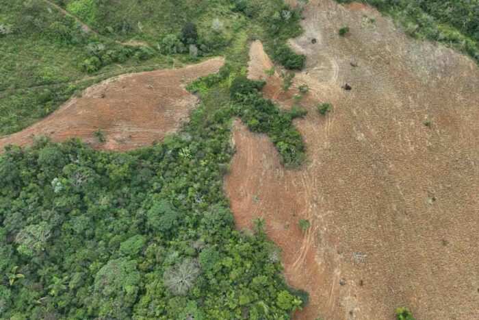 Fiscalização ambiental aplica mais de R$ 40 mil em multas por desmatamento irregular na Zona da Mata 2 desmatamento