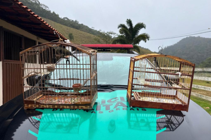 fotos 11