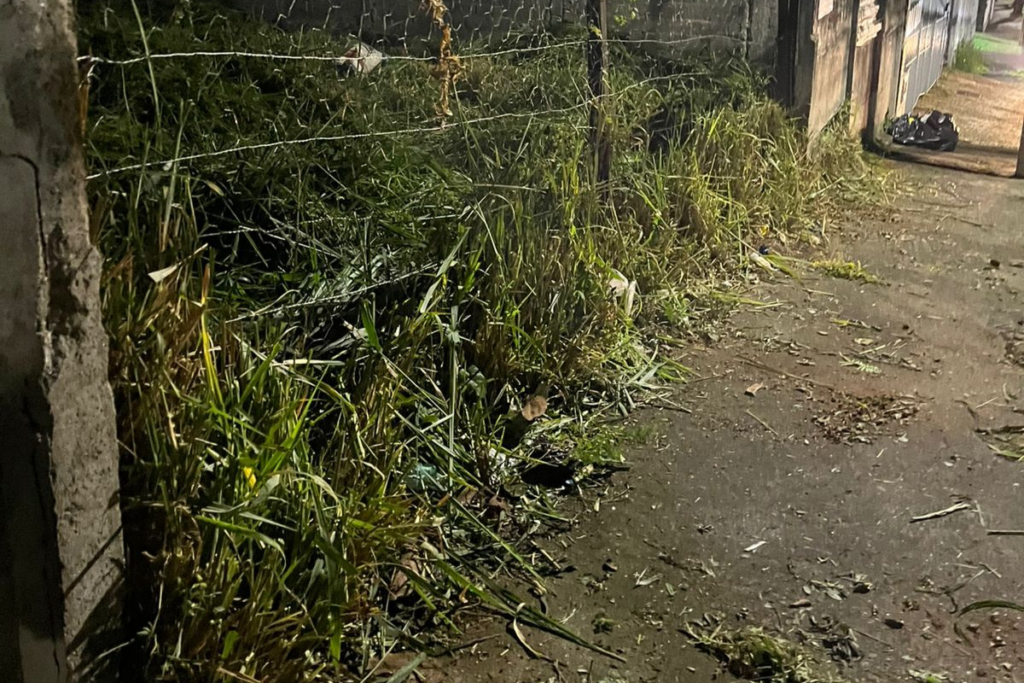 Mato alto invade passeio no Cascatinha e dificulta passagem de pedestres 2 fotos 8
