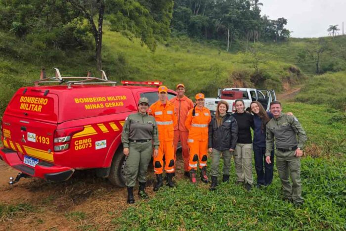 Jaguatirica atropelada na MG-133 retorna à natureza após tratamento no Cetas de Juiz de Fora; veja vídeo e fotos 1 jaguatirica IEF
