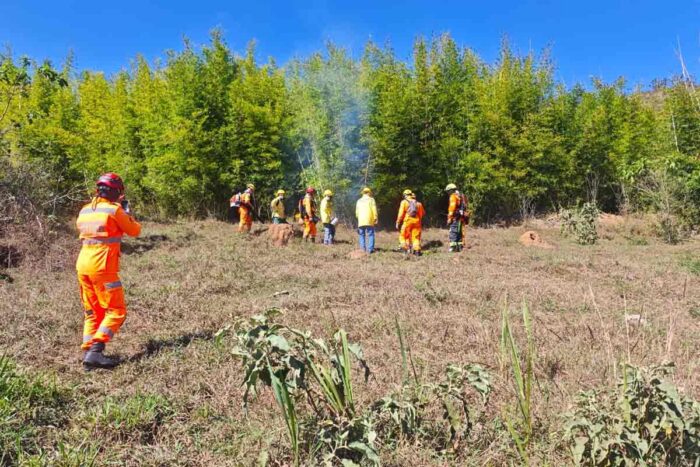 VÍDEO: Queima prescrita é realizada em área de 8,5 hectares no entorno da Mata do Krambeck 3 queima prescrita
