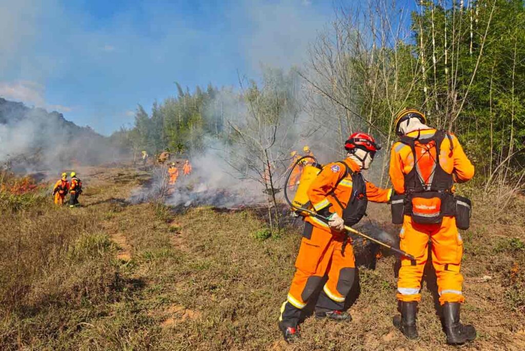 VÍDEO: Queima prescrita é realizada em área de 8,5 hectares no entorno da Mata do Krambeck 4 queima