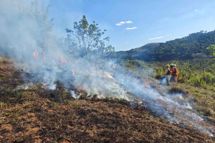 VÍDEO: Queima prescrita é realizada em área de 8,5 hectares no entorno da Mata do Krambeck 2 queima prescrita mata do krambeck