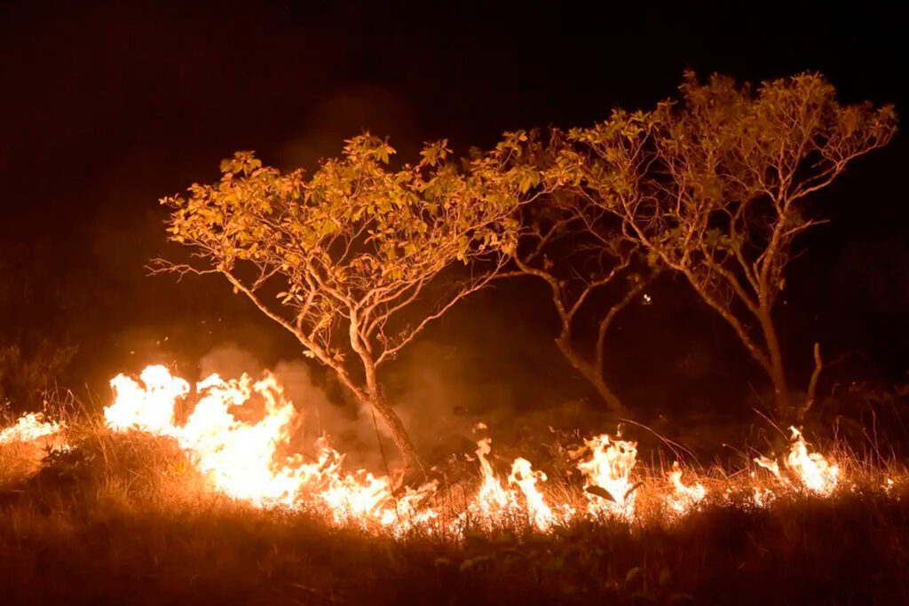 VEJA VÍDEO: Minas registra 658 focos de queimadas, exigindo alerta durante a estiagem 1 queimadas minas agencia brasil