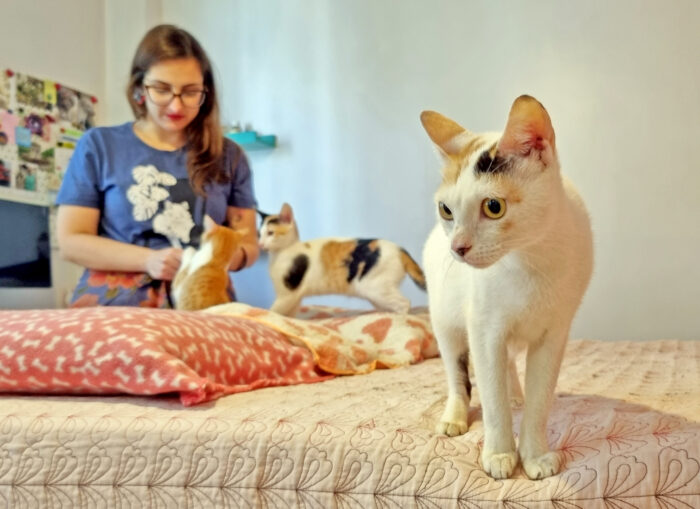 Adoção: mais de mil animais aguardam a chance de ter um lar em Juiz de Fora 3 LAIS E AS GATINHAS ADOTADAS fOTO LEONARDO COSTA 02.jpg