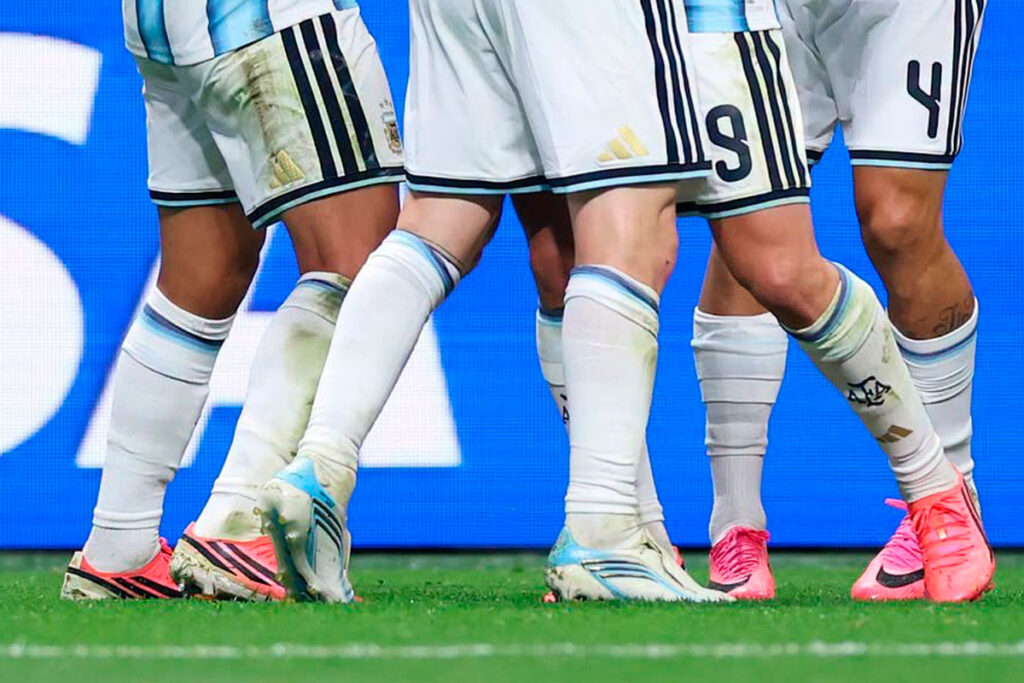 fifa gramados fotofacebook reproducao