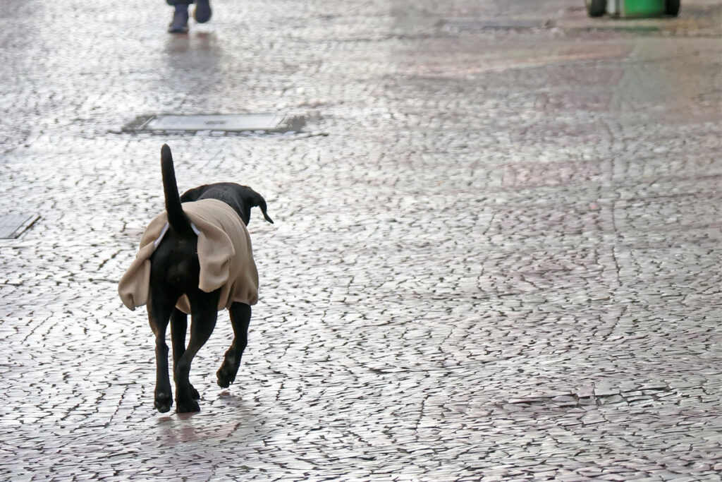 Frio vai continuar em Juiz de Fora? Veja previsão para o fim de semana 2 frio juiz de fora foto leonardo costa
