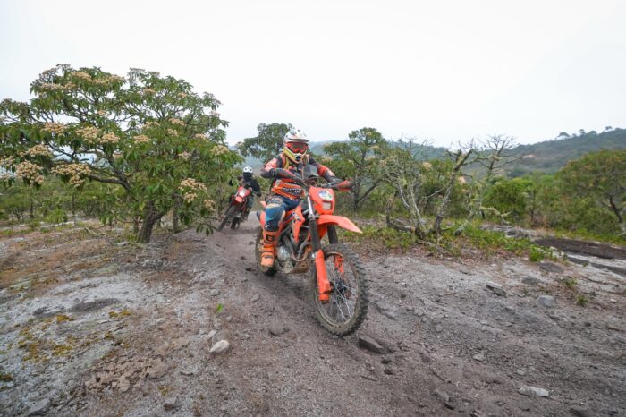 ior foto dirt photos