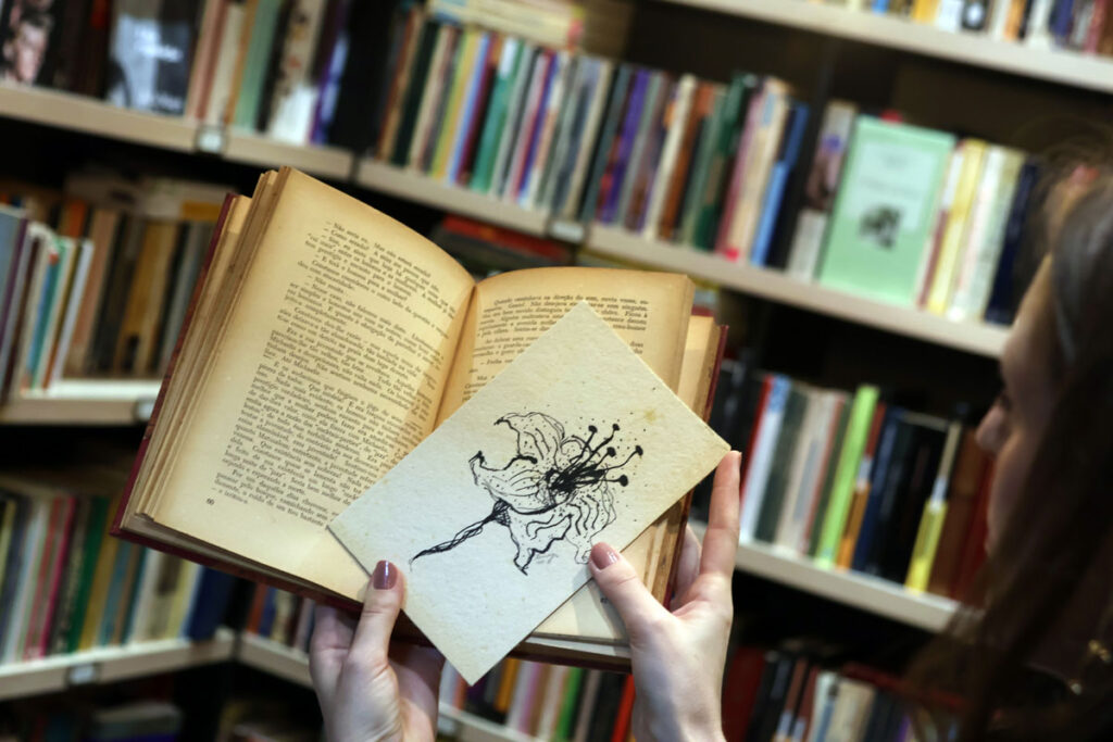 Descubra 5 lugares para encontrar livros em Juiz de Fora
