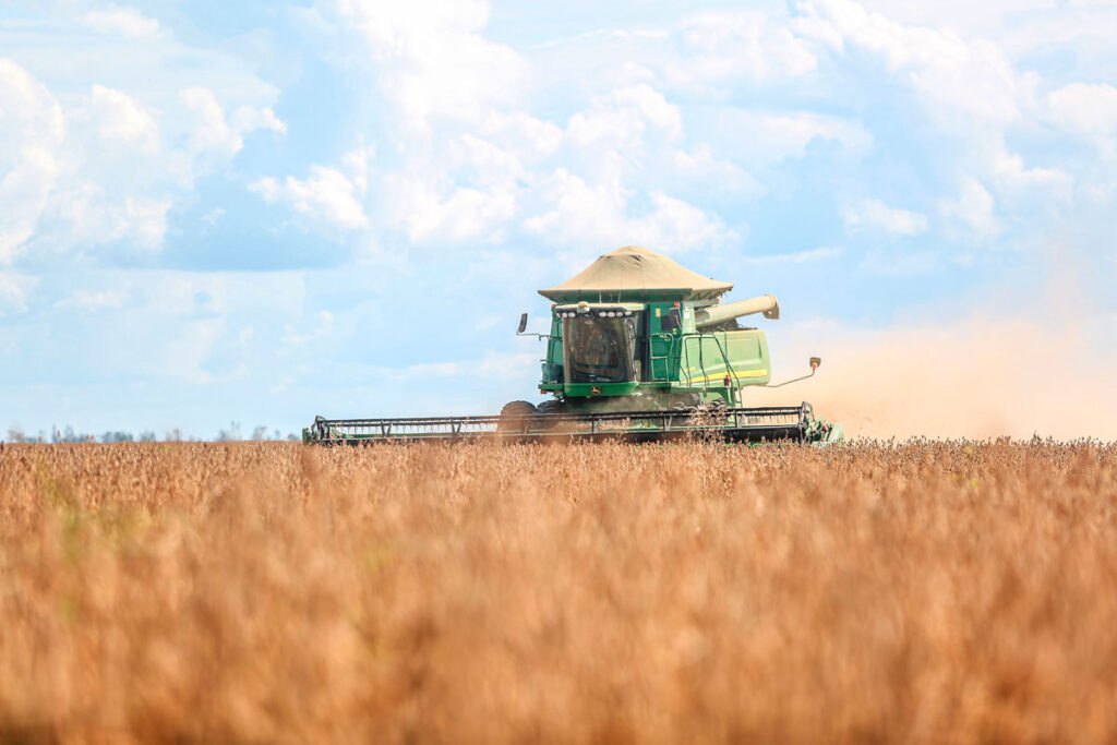 Tarifa de 25% dos EUA sobre produtos brasileiros entra em vigor 1 plantacao de soja foto pexels
